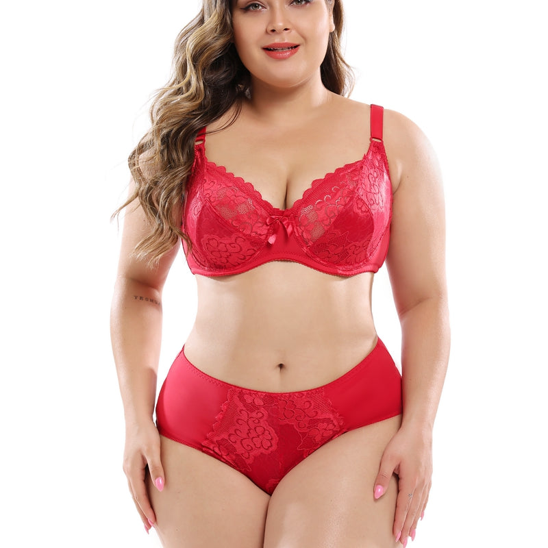 Dentelle plus la taille de soutien-gorge ensemble